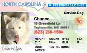 thumb-Pet-Licenses-for-State-North-Carolina